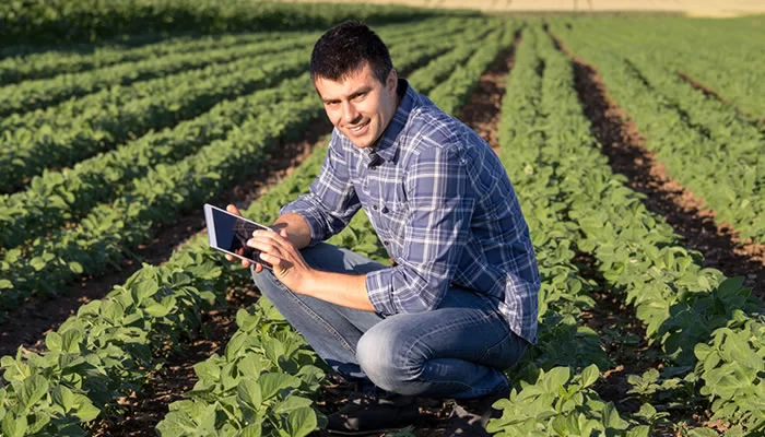 cursos-pos-ead-gestao-agribussines